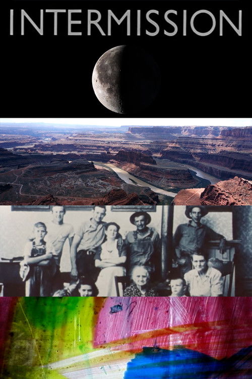 Intermission (2016) poster