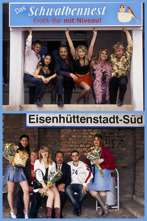 Das Schwalbennest (2004) poster