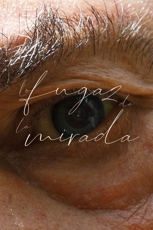Lo fugaz de la mirada (2024) poster