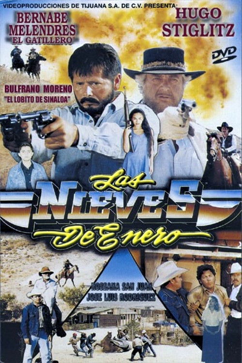 Las Nieves de Enero (1995) poster