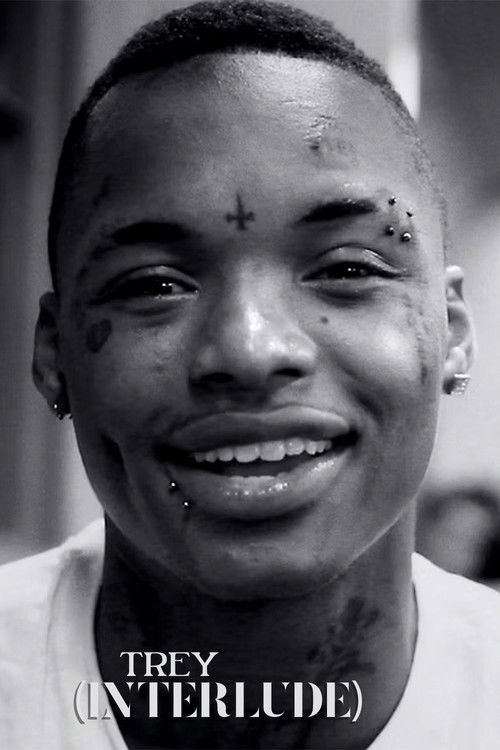 Trey (Interlude) (2012) poster
