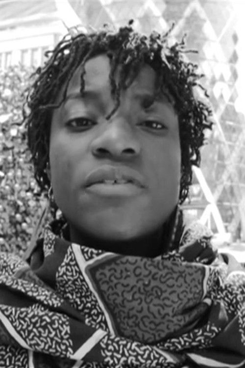 She Decided to Stop Being a Woman (2013) poster