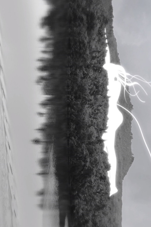 Umbilical Cord to Heaven (2020) poster