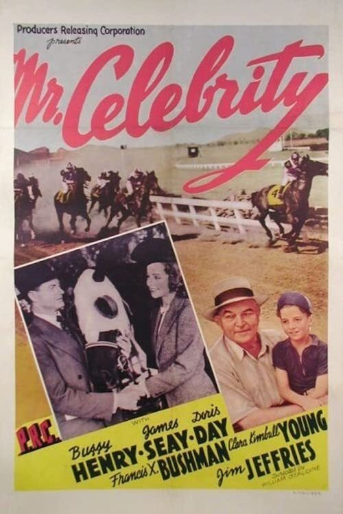 Mr. Celebrity (1941) poster