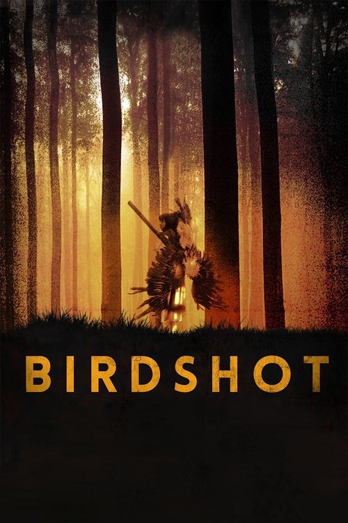 Birdshot (2017) poster