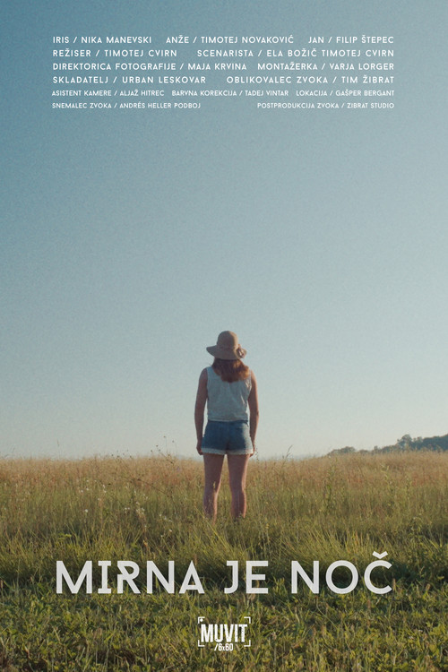 Tender is the Night (2023) poster