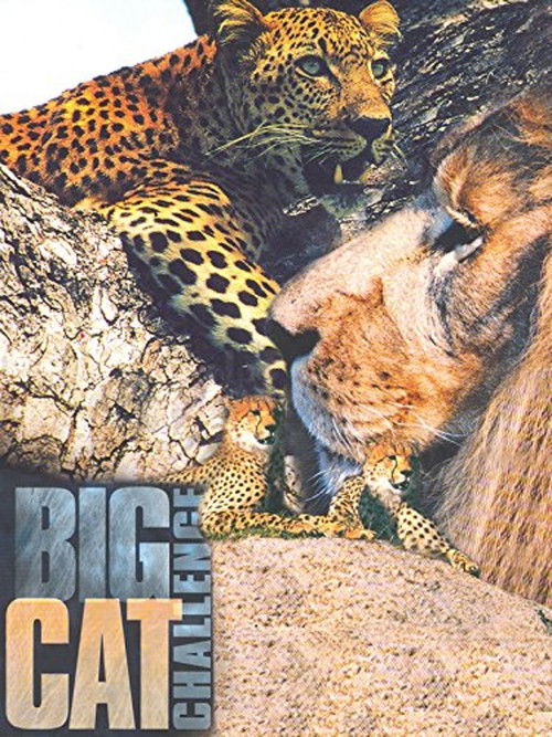 Big Cat Challenge (2003) poster