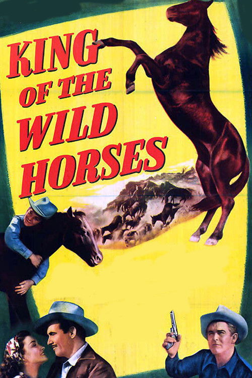 King of the Wild Horses (1947) poster