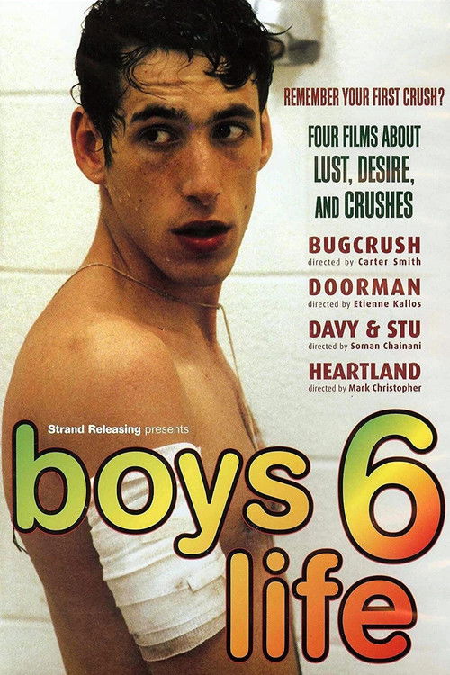 Boys Life 6 (2007) poster
