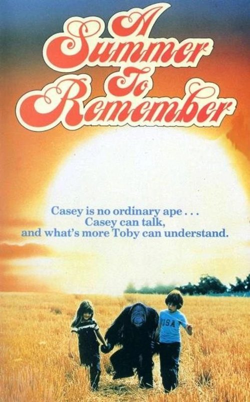 A Summer to Remember (1985) poster