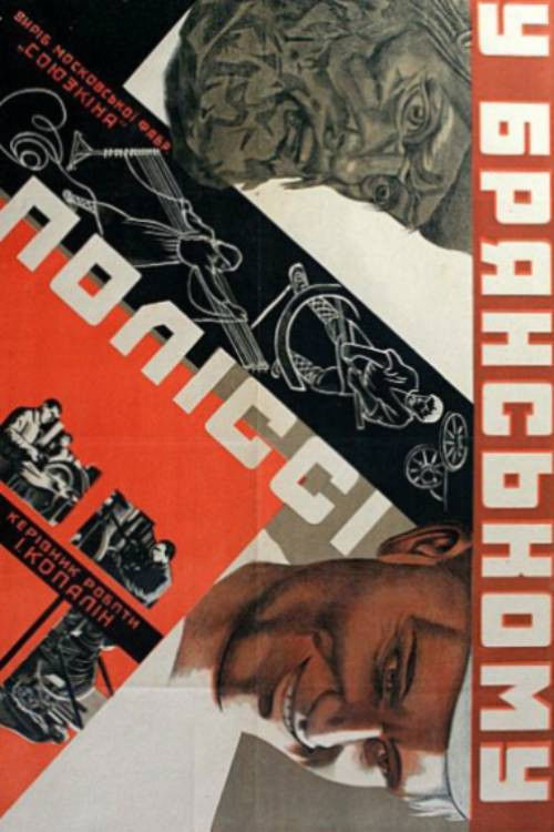 In the Bryansk Polesie (1930) poster