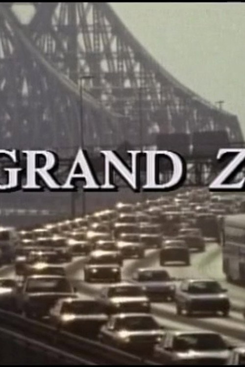 Le grand zèle (1993) poster