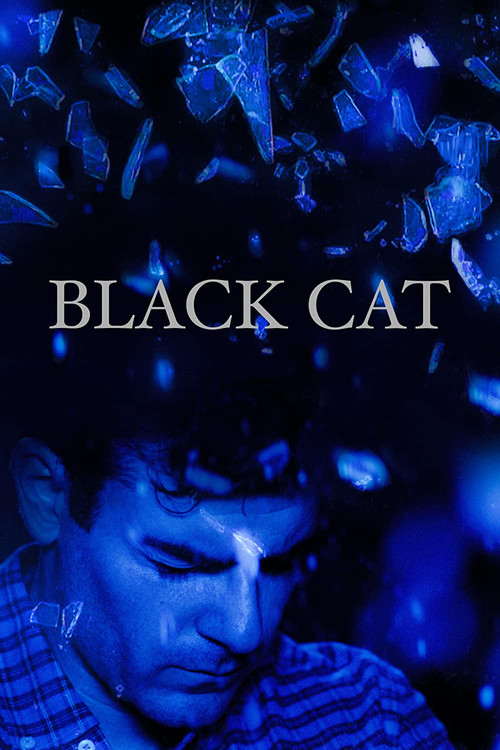 Black Cat (2017) poster