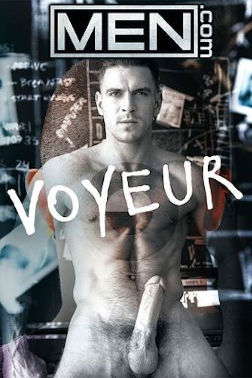 Voyeur (2014) poster
