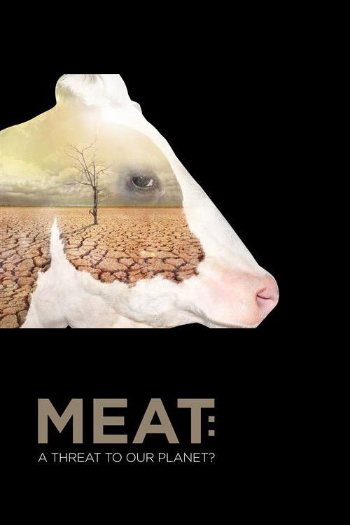 Meat: A Threat to Our Planet (2019) poster