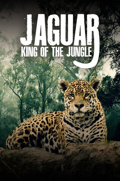 Jaguar: King of the Jungle (2020) poster