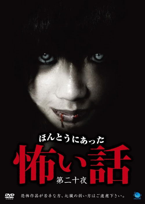Scary True Stories: Night 20 (2011) poster