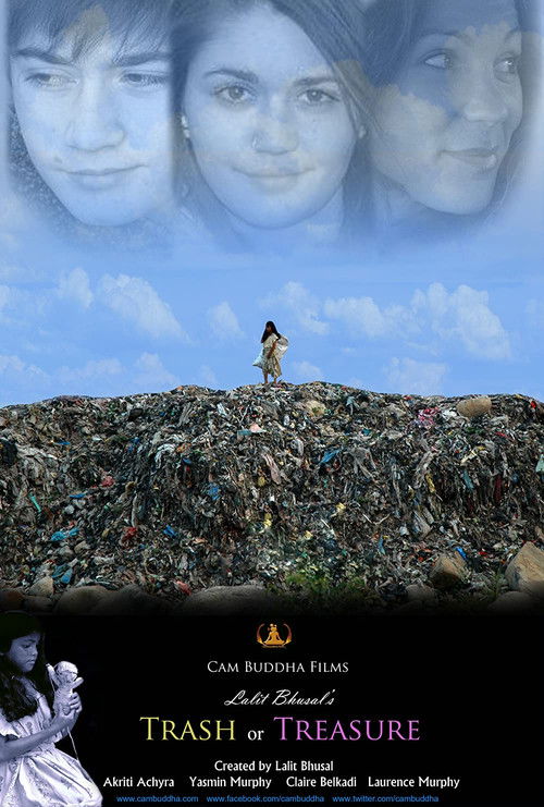 Trash Or Treasure 2012 (2012) poster