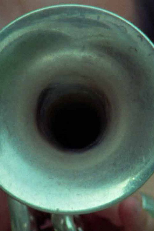 The Farnsworth Scores (2018) poster