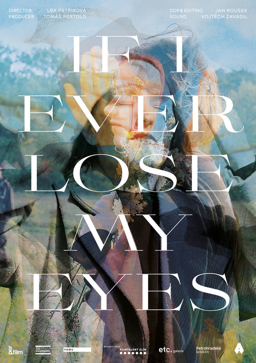 If I Ever Lose My Eyes (2023) poster