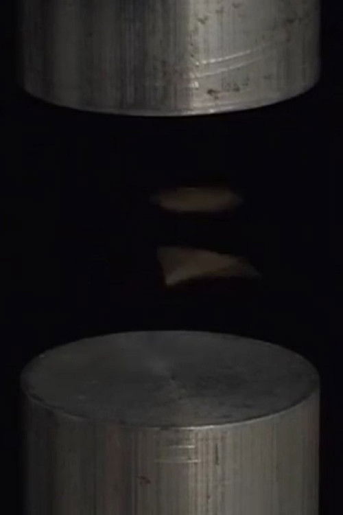 Sonolevitation (2009) poster