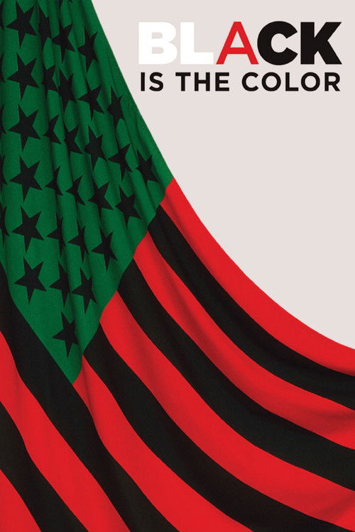 Black Is the Color: African-American Artists and Segregation (2016) poster