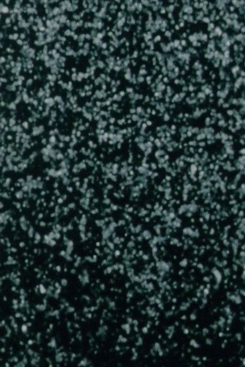 Field Study #2 (1988) poster