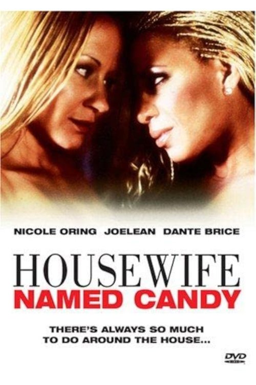 A Housewife Named Candy (2006) poster