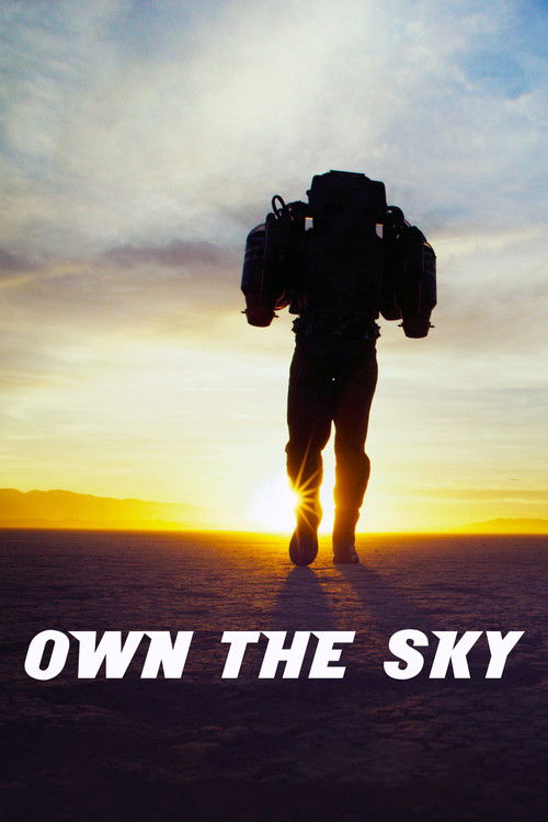 Own The Sky (2019) poster