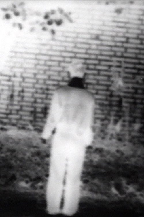 Footsteps (1974) poster