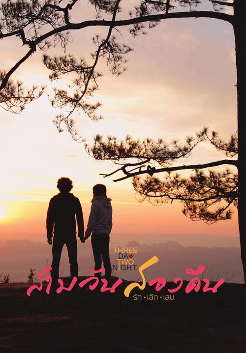 Three Day Two Night (2012) poster