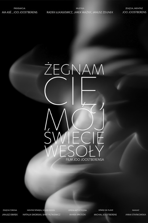 Goodbye My Wonderful World (2023) poster