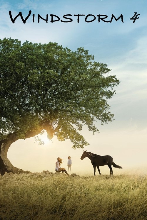 Kasırga 4: Arinin Gelişi (2019) poster