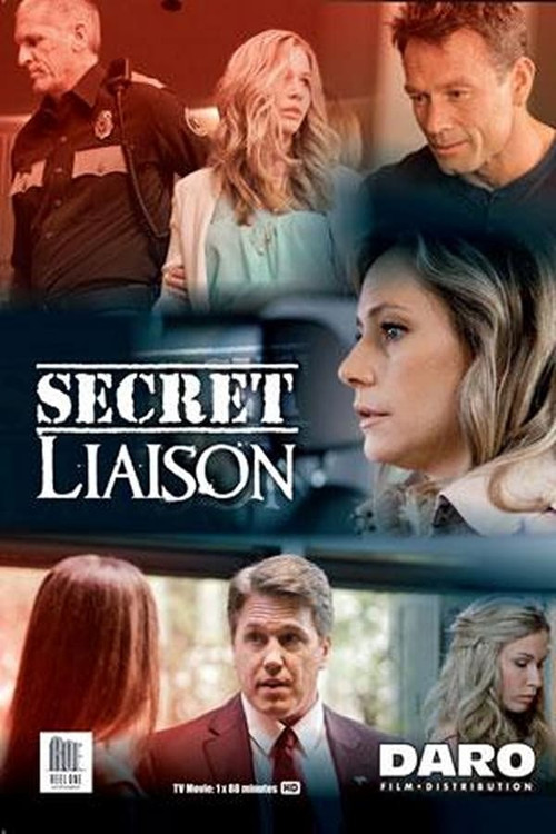 Secret Liaison (2013) poster