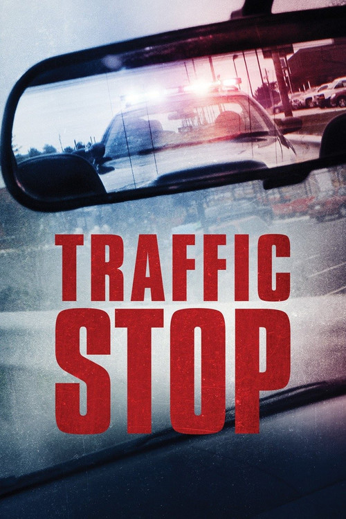 Traffic Stop (2017) poster