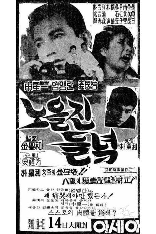 The Field Glow with the Setting Sun (1965) poster