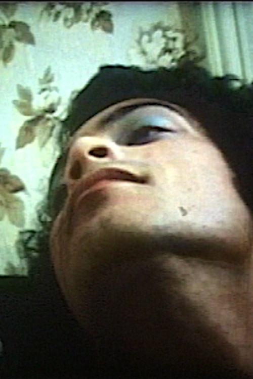 Ladyman (1976) poster