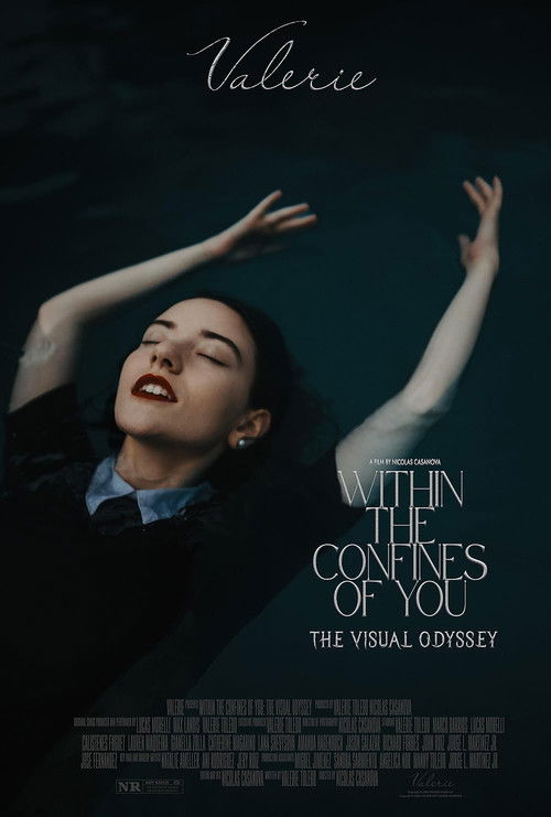 Within the Confines of You: The Visual Odyssey (2024) poster