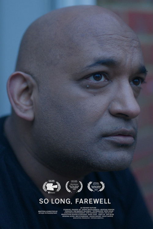 So Long, Farewell (2024) poster