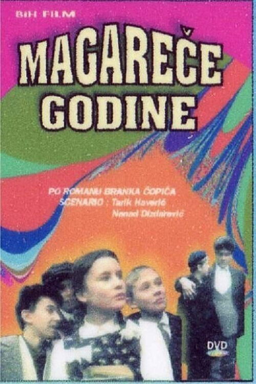 Magareće godine (1994) poster