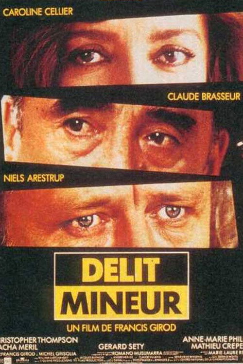 Délit mineur (1994) poster