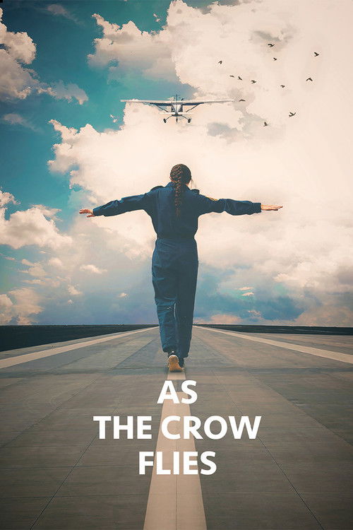 As the Crow Flies (2017) poster