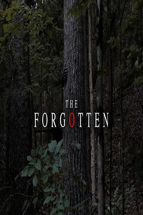 The Forgotten (2018) poster