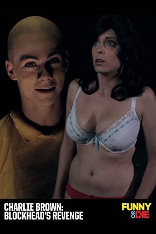 Charlie Brown: Blockhead's Revenge (2011) poster