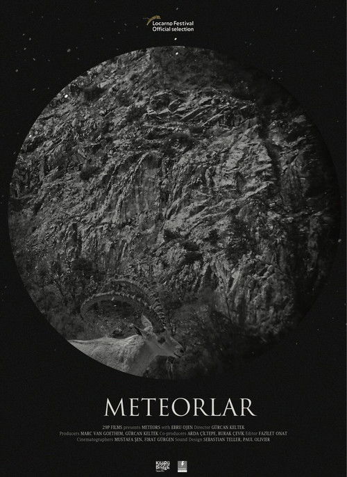 Meteors (2017) poster