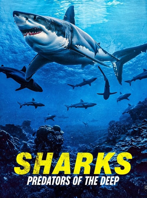 Sharks: Predators of the Deep (2024) poster