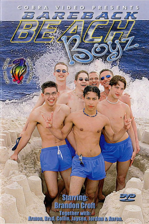 Bareback Beach Boyz (2002) poster
