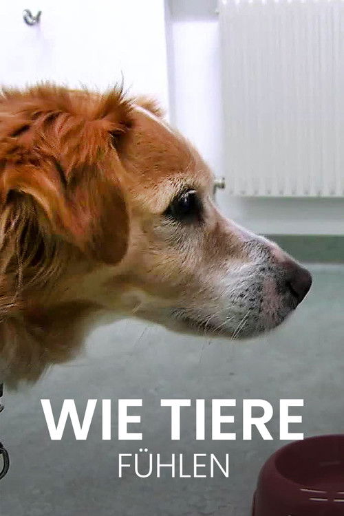 Wie Tiere fühlen (2016) poster