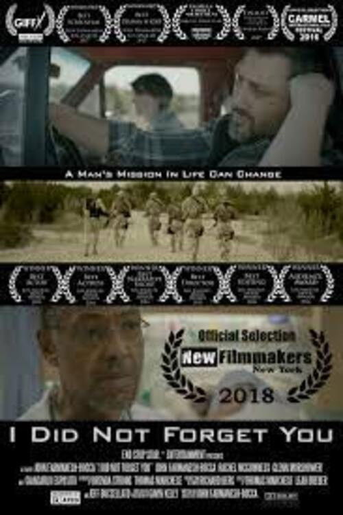 I Did Not Forget You (2015) poster