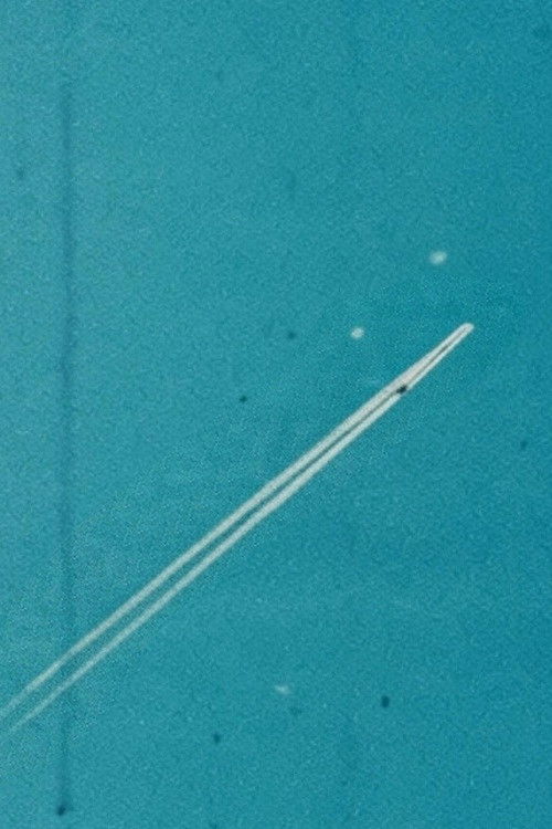 I Saw the Face of God in the Jet Wash (2025) poster